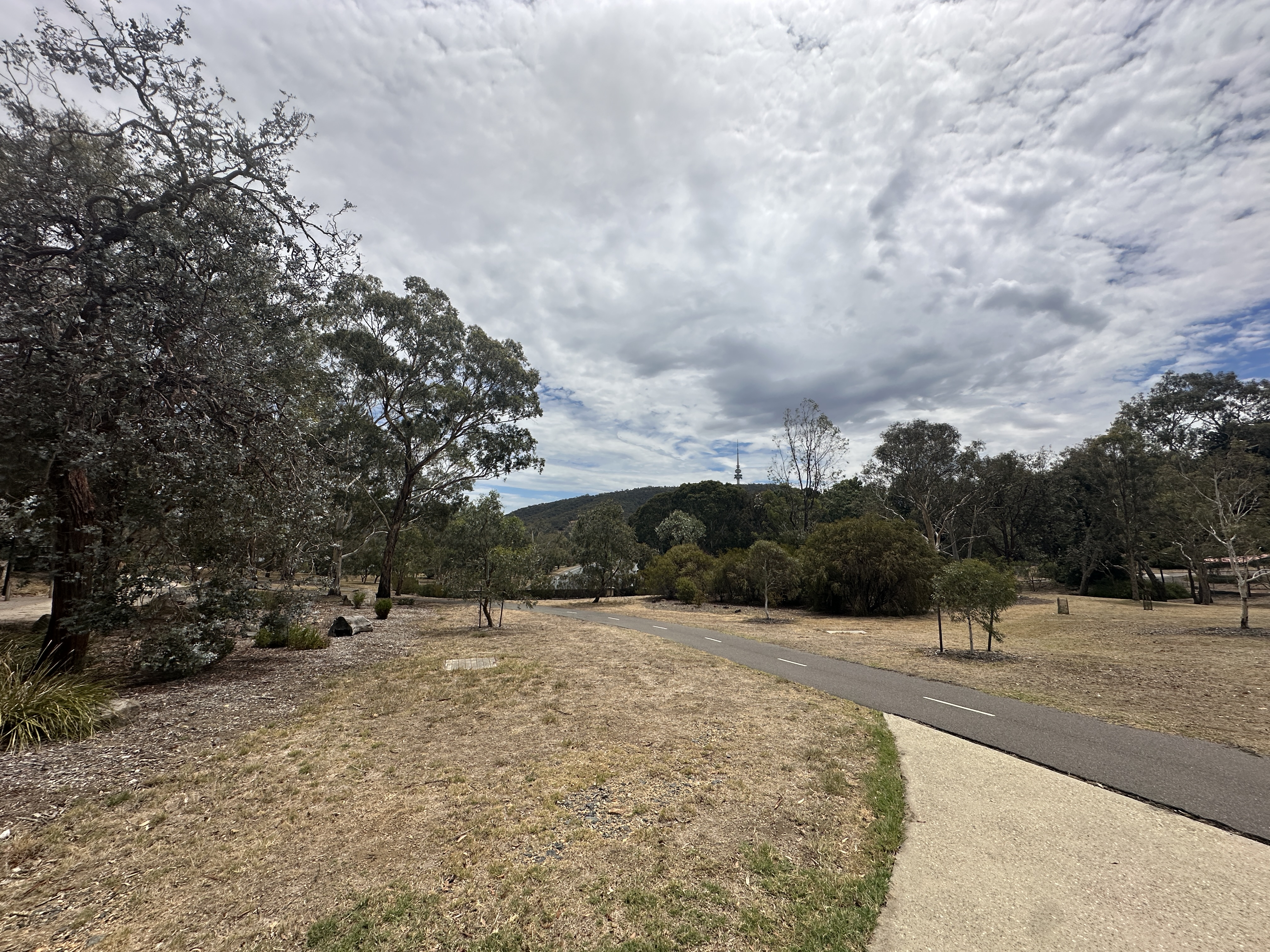 A peaceful Canberra street with Telstra Tower in the background